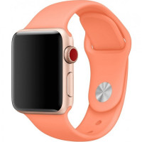 Силиконовый ремешок для Apple Watch 42(ser.1-3)/44/45/46/49mm - Оранжевый