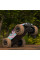 Машинка на радіокеруванні SCHE HW8807 All-terrain sports car Colorful - фото