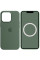 Чохол Silicone case (AAA) full with Magsafe and Animation для Apple iPhone 13 Pro (6.1) - Зелений / Eucalyptus - фото