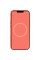 Чохол Silicone case (AAA) full with Magsafe and Animation для Apple iPhone 13 (6.1) - Рожевий / Pink Pomelo - фото