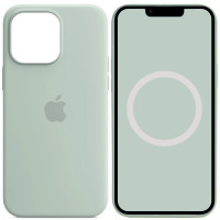 Чехол Silicone case (AAA) full with Magsafe and Animation для Apple iPhone 14 Pro (6.1) - Бирюзовый / Succulent