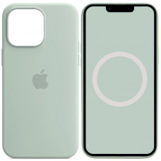 Чехол Silicone case (AAA) full with Magsafe and Animation для Apple iPhone 14 Pro (6.1) - Бирюзовый / Succulent