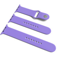 Силиконовый ремешок для Apple Watch Sport Band 38/40/41/42mm(ser.10) (S/M & M/L) 3pcs - Сиреневый / Dasheen