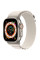 Ремінець Alpine Loop для Apple Watch 42(ser.1-3)/44/45/46/49mm (m/l) Сірий / Starlight - фото