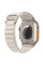 Ремінець Alpine Loop для Apple Watch 42(ser.1-3)/44/45/46/49mm (m/l) Сірий / Starlight - фото