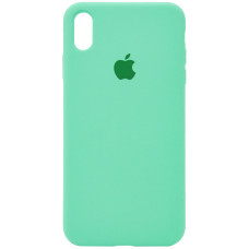 Чехол Silicone Case Full Protective (AA) для Apple iPhone X (5.8) / XS (5.8) - Зеленый / Spearmint