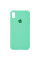 Чехол Silicone Case Full Protective (AA) для Apple iPhone X (5.8) / XS (5.8) - Зеленый / Spearmint - фото