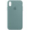 Чехол Silicone Case Full Protective (AA) для Apple iPhone X (5.8) / XS (5.8) - Зеленый / Cactus