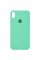 Чехол Silicone Case Full Protective (AA) для Apple iPhone XR (6.1) - Зеленый / Spearmint - фото