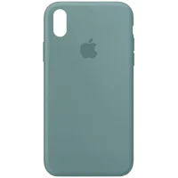 Чохол Silicone Case Full Protective (AA) для Apple iPhone XR (6.1) - Зелений / Cactus