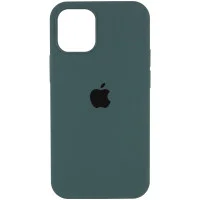 Чехол Silicone Case Full Protective (AA) для Apple iPhone 12 Pro / 12 (6.1) - Зеленый / Cactus